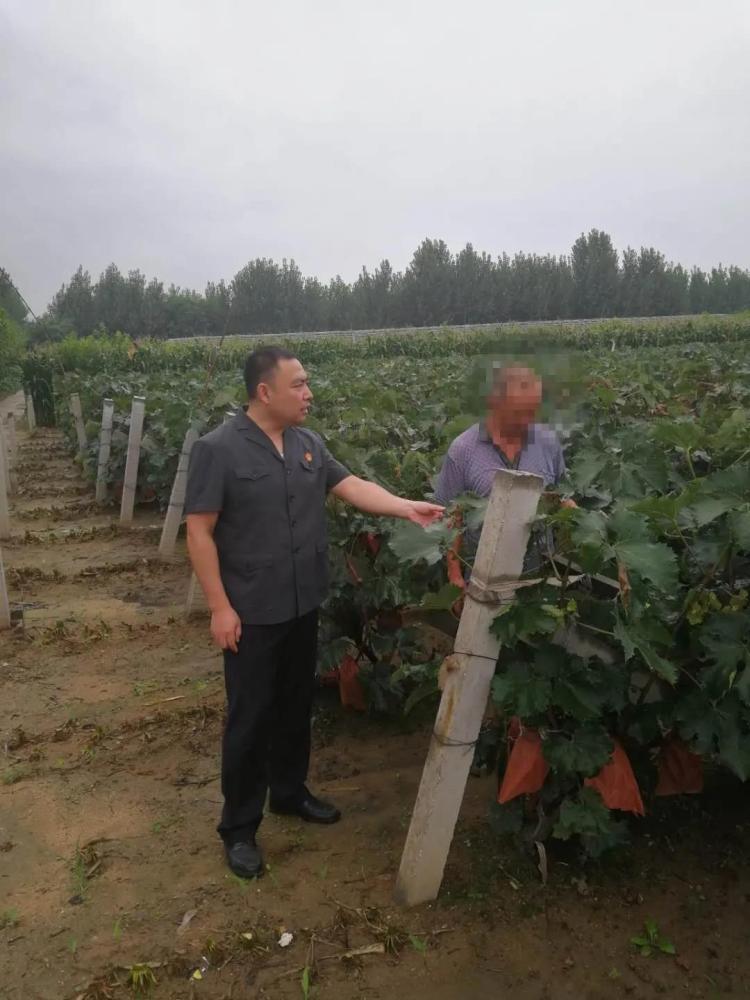 案结事|从“案结事了”向“事了案结” 莱西法院法官这样做