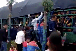 |高速公路遇车祸后货物遭哄抢 临沂网友：10吨猪肉只剩3吨 车门也被拉走了