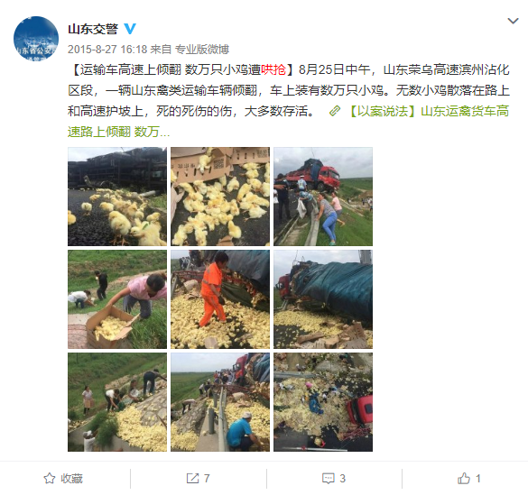 |高速公路遇车祸后货物遭哄抢 临沂网友：10吨猪肉只剩3吨 车门也被拉走了