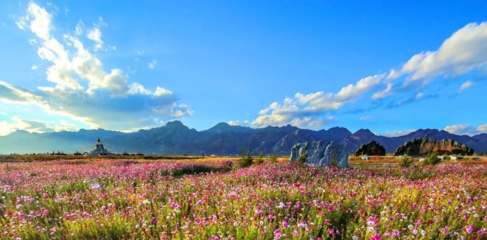 |超期待！“美丽青城 草原都市”呼和浩特（青岛）企业家恳谈会即将启幕