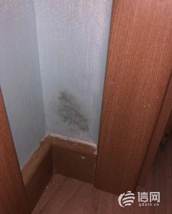 |中建锦绣城誉园新房未住便漏雨 相关部门已责令整改