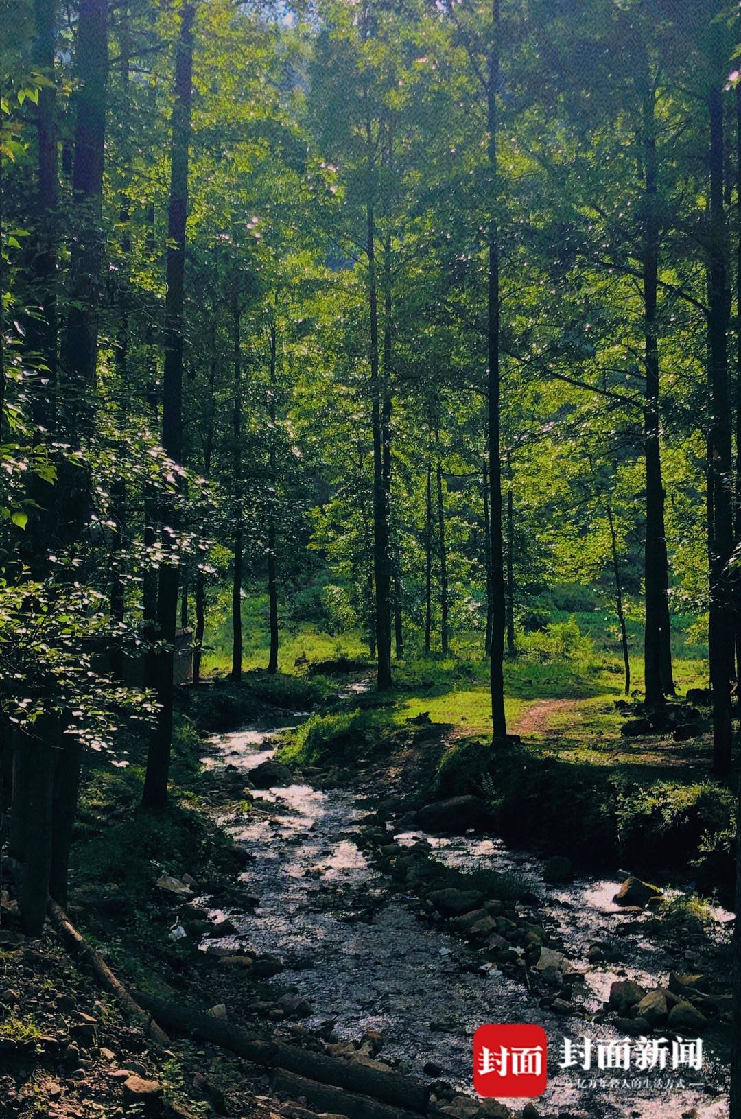 |你笑起来真好看｜136次早安和23个约定（四川）