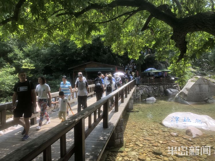 九水|两天4.8万人次 崂山九水游览区预约达最大限量