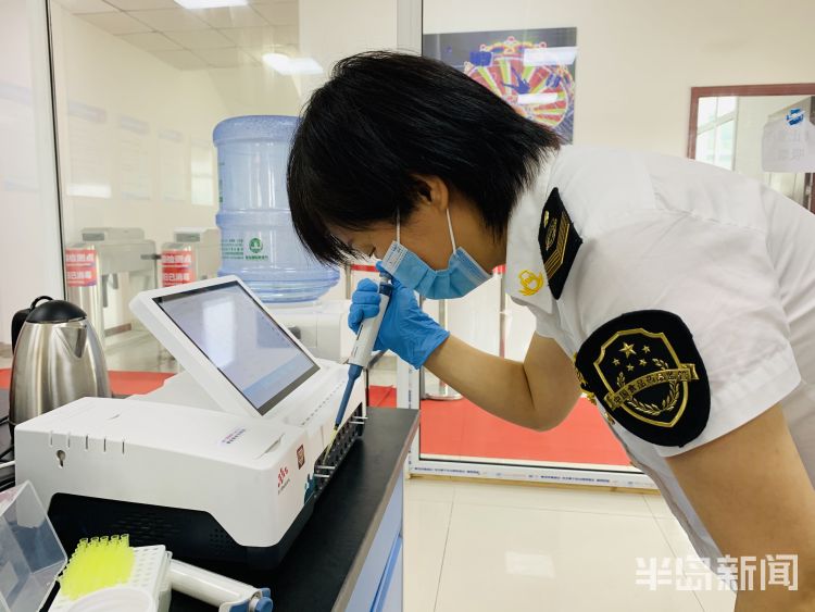 数百辆|物流通道每天检测数百辆车 西海岸啤酒城筑起食品安全防线