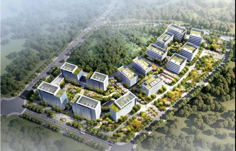 责任制|质量终身责任制！山东发文明确政府和国有资金投资的房屋、市政项目原则上实行工程总承包