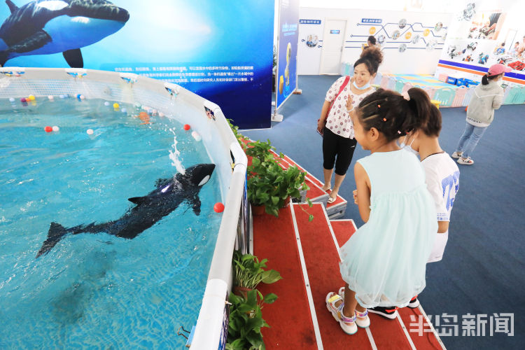 玩转|好吃又好玩 孩童玩转青岛西海岸新区金沙滩啤酒城
