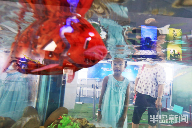 玩转|好吃又好玩 孩童玩转青岛西海岸新区金沙滩啤酒城