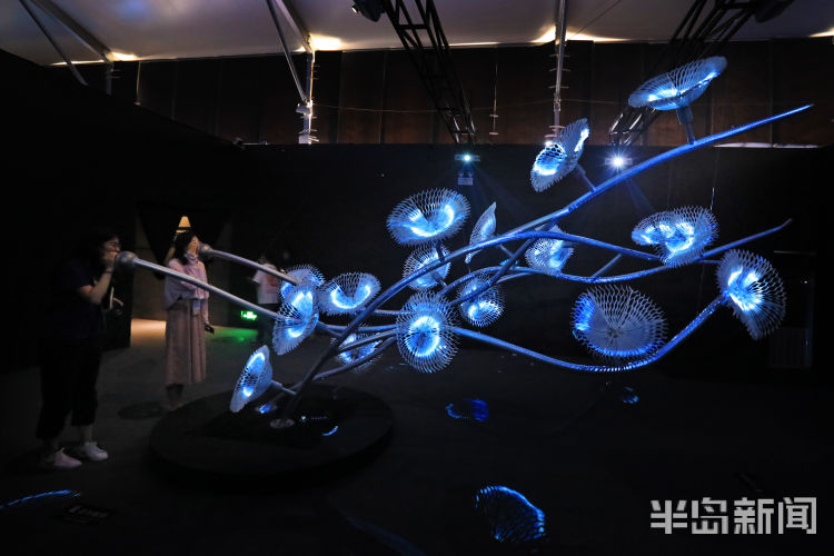 艺术展|当科技遇上艺术 青岛金沙滩啤酒城沉浸艺术展让游客大呼过瘾