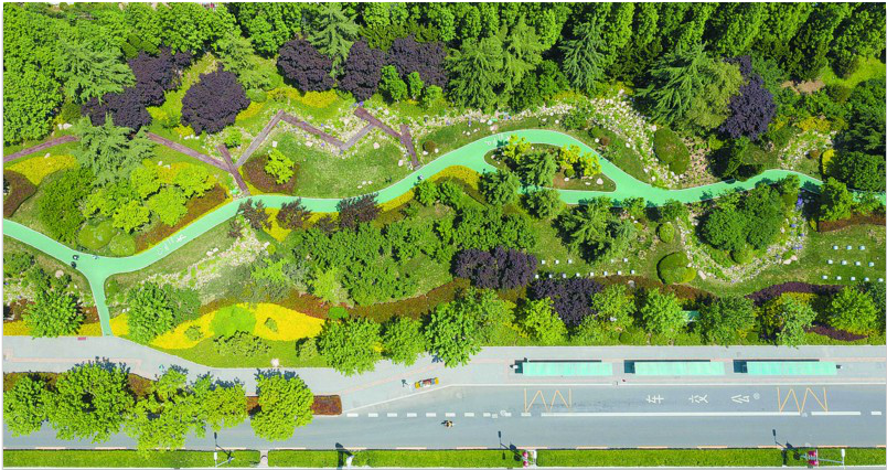 |青岛打造城市绿色“网络”今年已实施绿道建设62.4公里