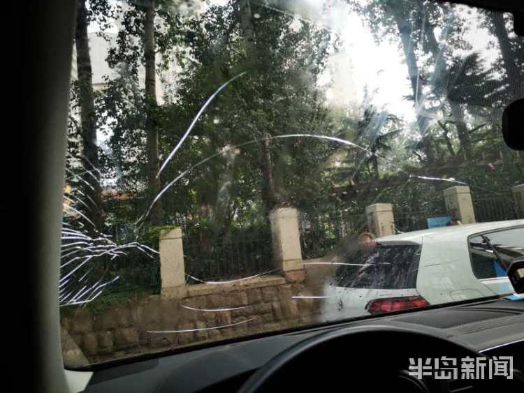 火龙果|青岛市北区都市华庭小区天降火龙果 私家车惨遭“毁容”