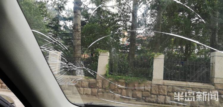 火龙果|青岛市北区都市华庭小区天降火龙果 私家车惨遭“毁容”