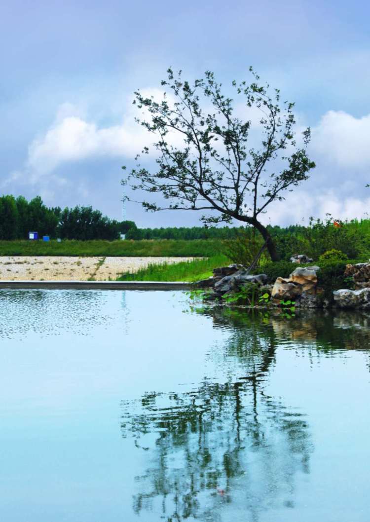 孤帆|晒出美丽青岛：孤帆，骄阳，渔船……青岛的美令人窒息