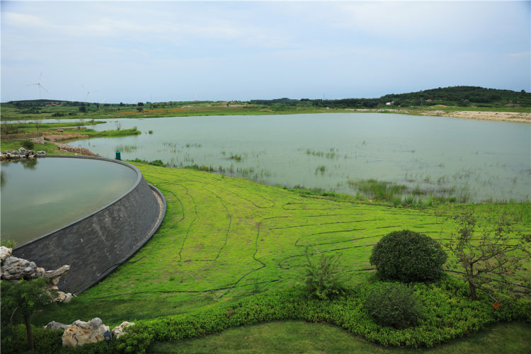 孤帆|晒出美丽青岛：孤帆，骄阳，渔船……青岛的美令人窒息