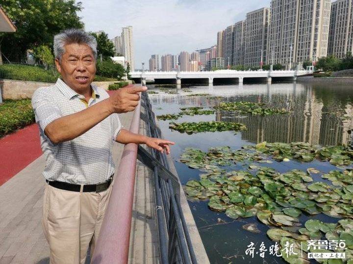 |即墨一年近七旬老人勇救6岁落水男童