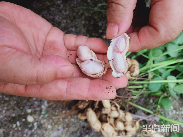 剩宴|制止餐饮浪费引热议 农民捧着麦子说：让他们来尝尝种地的滋味