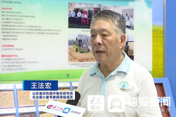 |山东粮价、储备情况如何？制止餐饮浪费 山东做得如何？