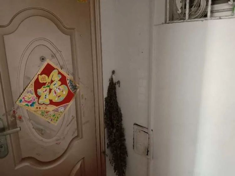 |青岛市崂山区金家岭街道旧貌换新颜（三）