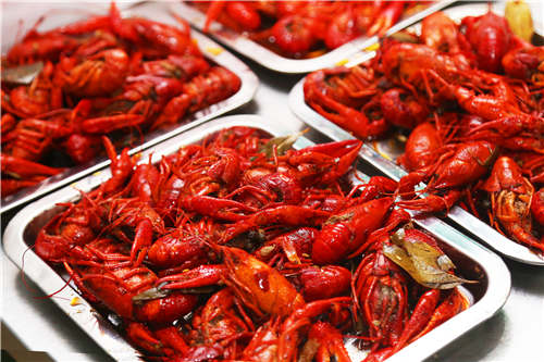 王哥庄|【醉享王哥庄】啤酒节崂山王哥庄分会场：啤酒小龙虾 畅游“一园”亲子乐