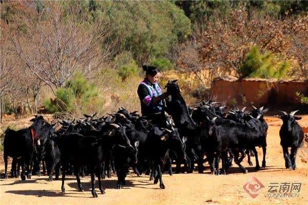 |【你笑起来真好看】镜头里的点滴 是他最珍贵的驻村回忆