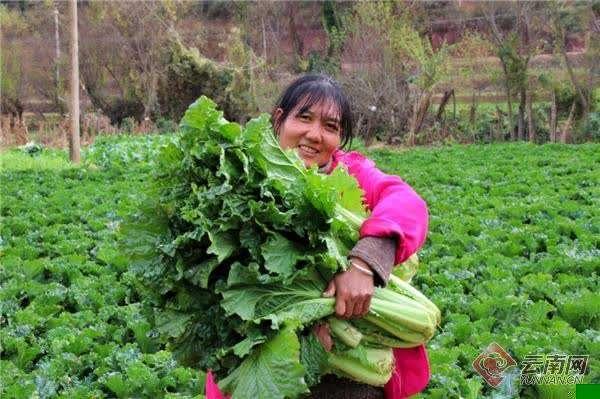 |【你笑起来真好看】镜头里的点滴 是他最珍贵的驻村回忆