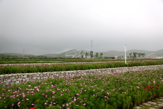 |幸福花开新边疆：石头上种花 废弃采石场成景区