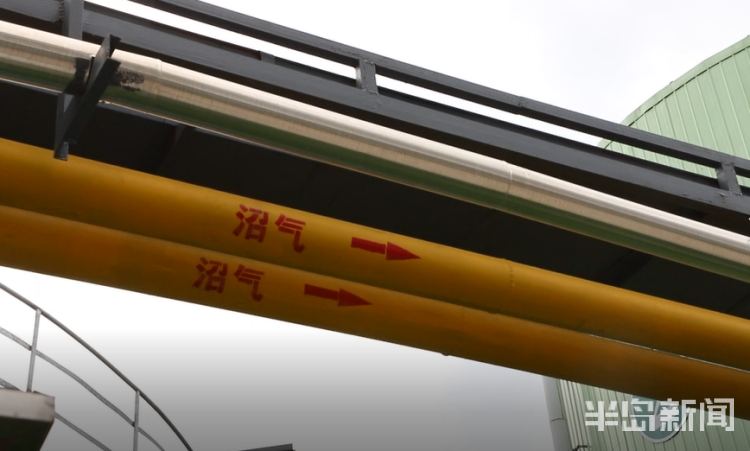 垃圾|记者探访国内最大垃圾中转站：餐厨垃圾闯四关变废为宝