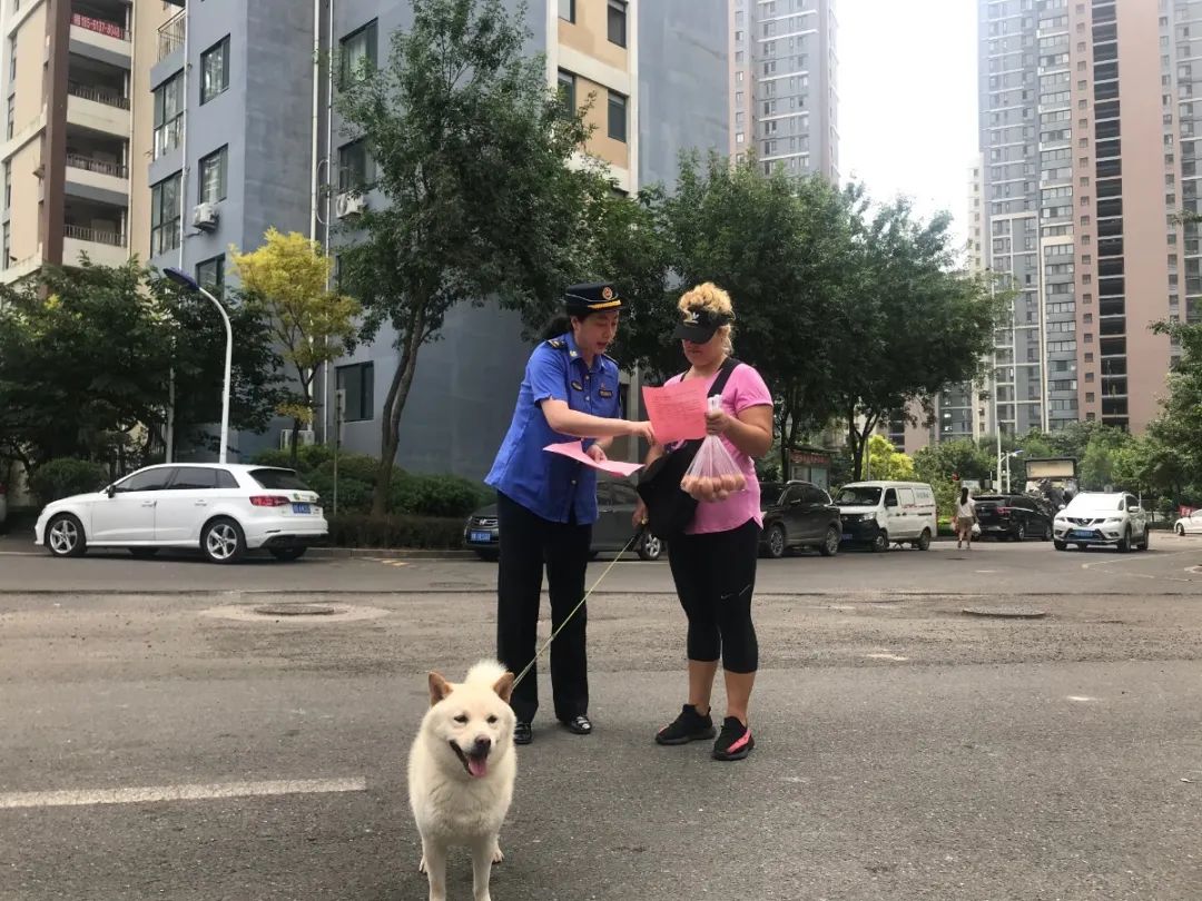 养犬|对不文明养犬说“不” 崂山区综合行政执法局开展文明养犬宣传进社区活动