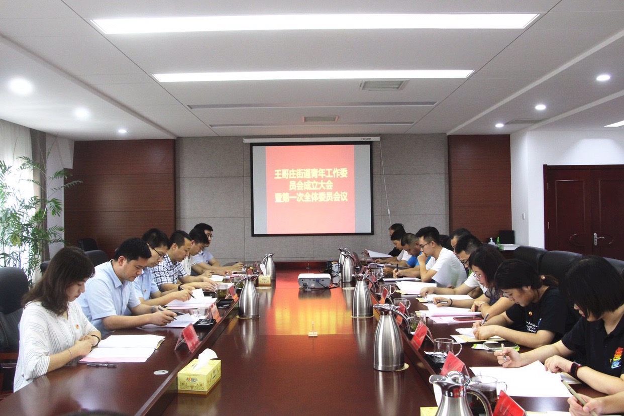 |王哥庄街道成立青年工作委员会