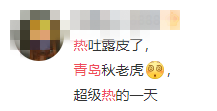 末伏|进入末伏青岛“秋老虎”来袭 网友：没想到你是个慢热的城市