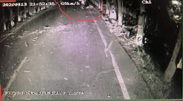 急伸|打雷击倒大树砸伤骑车老人 916路驾驶员急伸援手