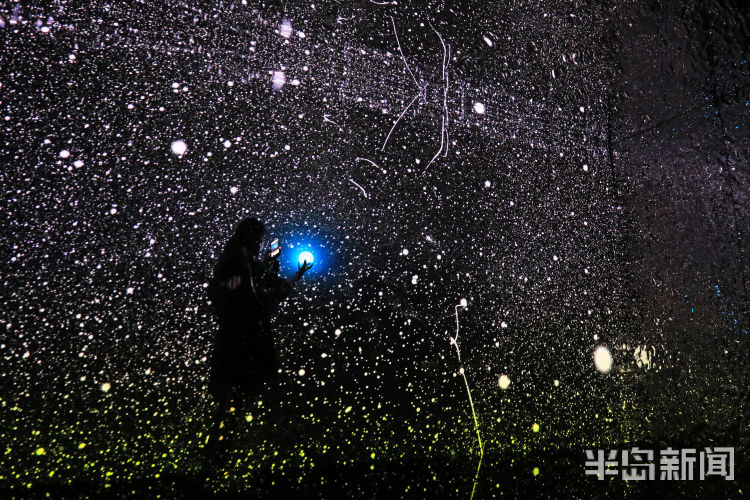 盼来|第30届青岛国际啤酒节进入尾声 美好回忆处处留举杯欢庆盼来年