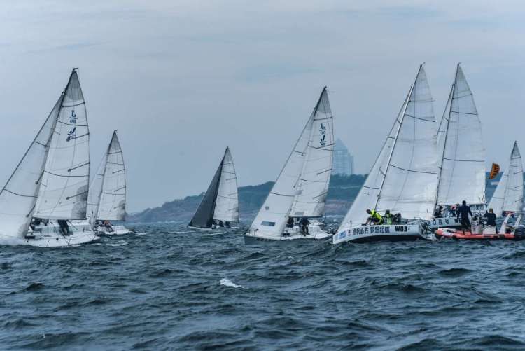 青岛|传承奥运梦想 点燃夏日激情 ——青岛国际帆船周·青岛国际海洋节邀您2021年再扬帆