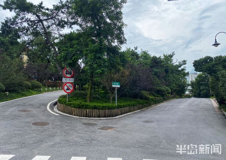 游客|游客争相“打卡”！青岛这条网红公交线近期游客井喷