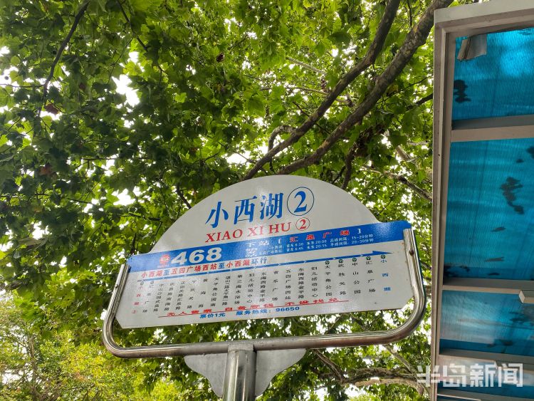 游客|游客争相“打卡”！青岛这条网红公交线近期游客井喷