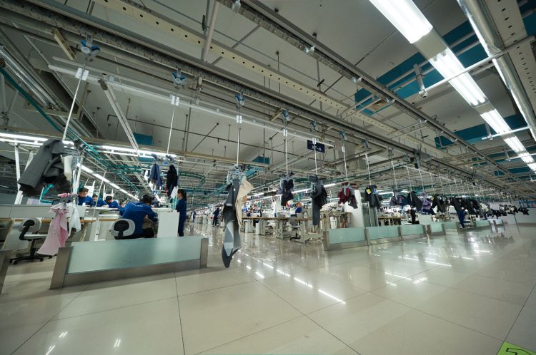 用活|政策资金用活市场思维 精准“浇灌”青岛未来