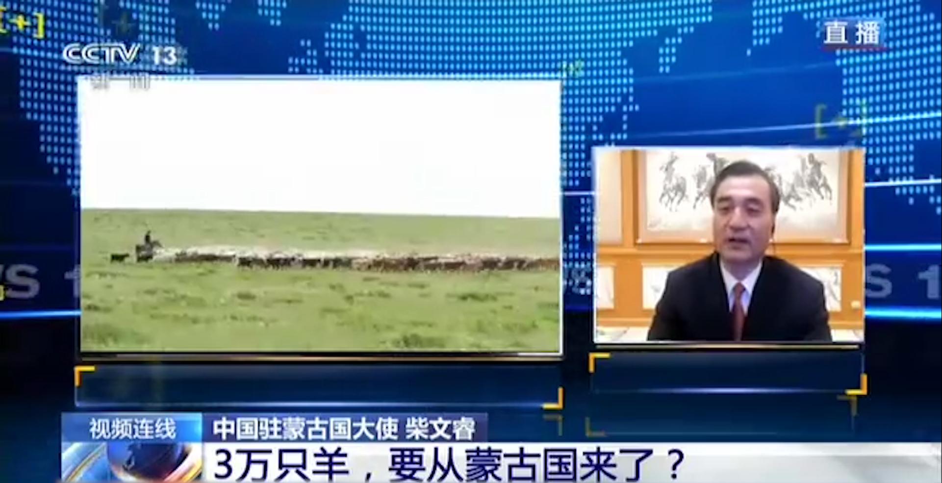 |3万只羊即将坐车进入中国 蒙古国：希望送给武汉人民