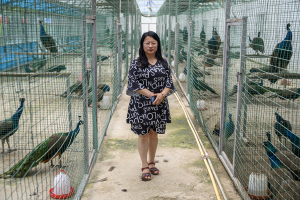 |【幸福花开新边疆】义勒力特：通过全域旅游赢得脱贫攻坚的胜利