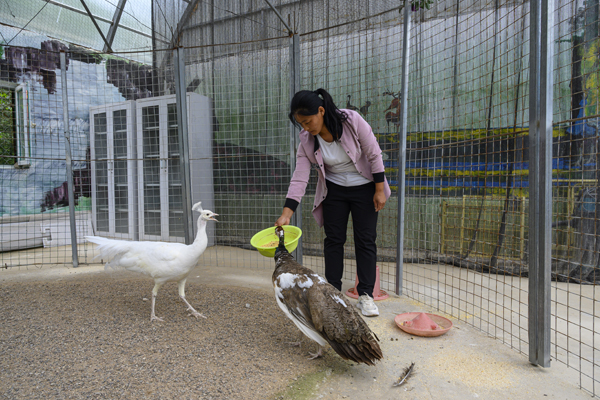 |【幸福花开新边疆】义勒力特：通过全域旅游赢得脱贫攻坚的胜利