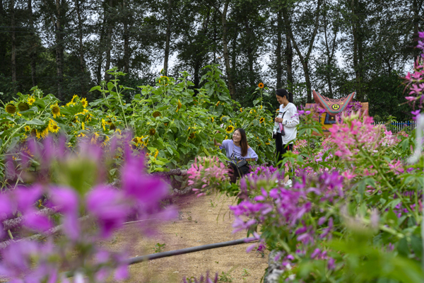|【幸福花开新边疆】义勒力特：通过全域旅游赢得脱贫攻坚的胜利