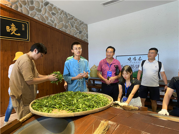 |探访崂山茶龙头企业 两大网络联盟采风团成员学练“铁砂掌”