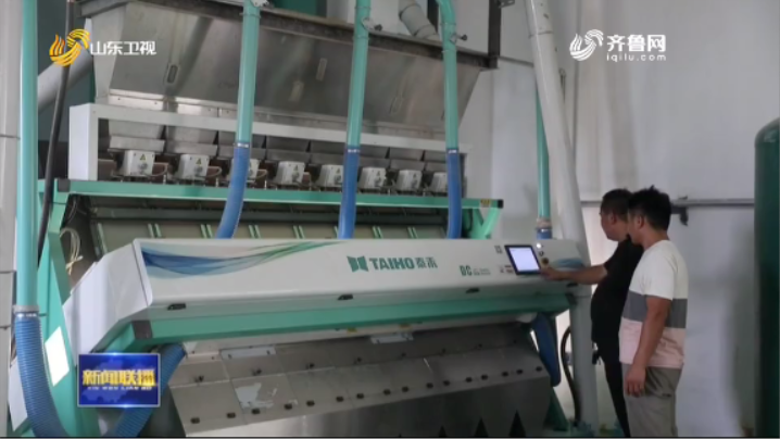 |技术革新、精细配比 山东粮企让每一粒粮食实现最大化利用