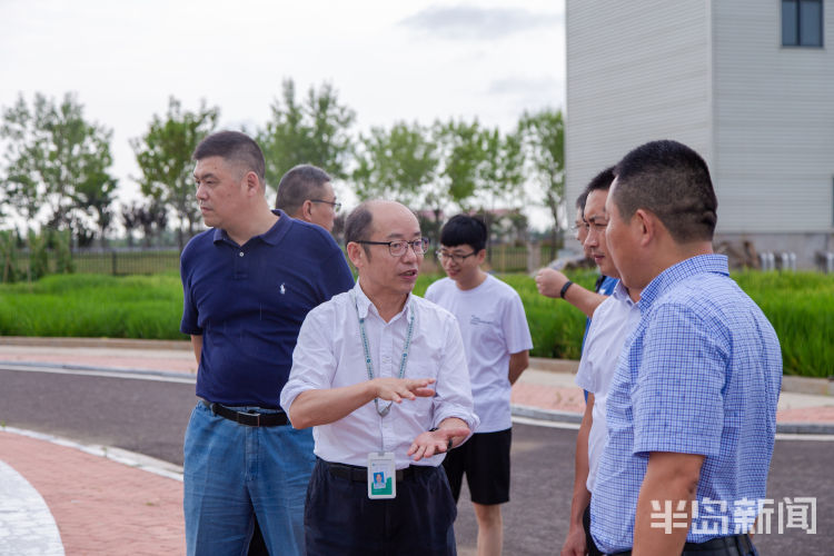 直击海|记者直击海水稻杂交实验现场 高温天里稻花香