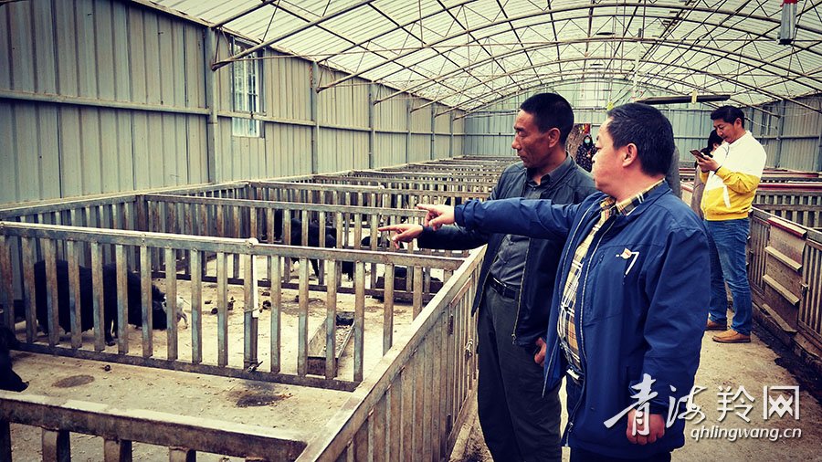 |你笑起来真好看：幸福笑声萦绕在河湟谷地