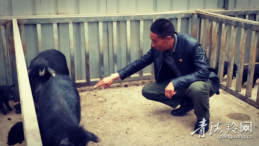 |你笑起来真好看：幸福笑声萦绕在河湟谷地