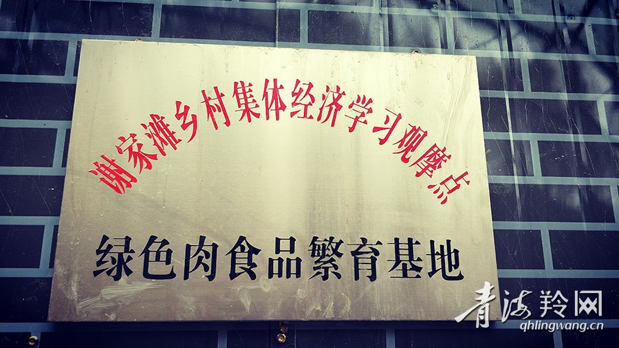 |你笑起来真好看：幸福笑声萦绕在河湟谷地