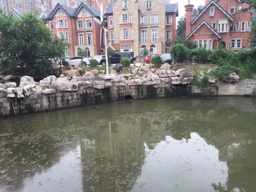 |青岛西海岸新区湛园海德公园小区地下车库被淹车辆被泡 业主恼了：损失谁负责