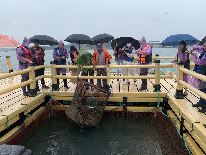 |采风团走进荣成爱伦湾海洋牧场 探访荣成全域旅游的新成果