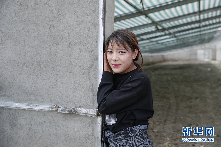 |幸福花开新边疆：隆子县的“格桑”花