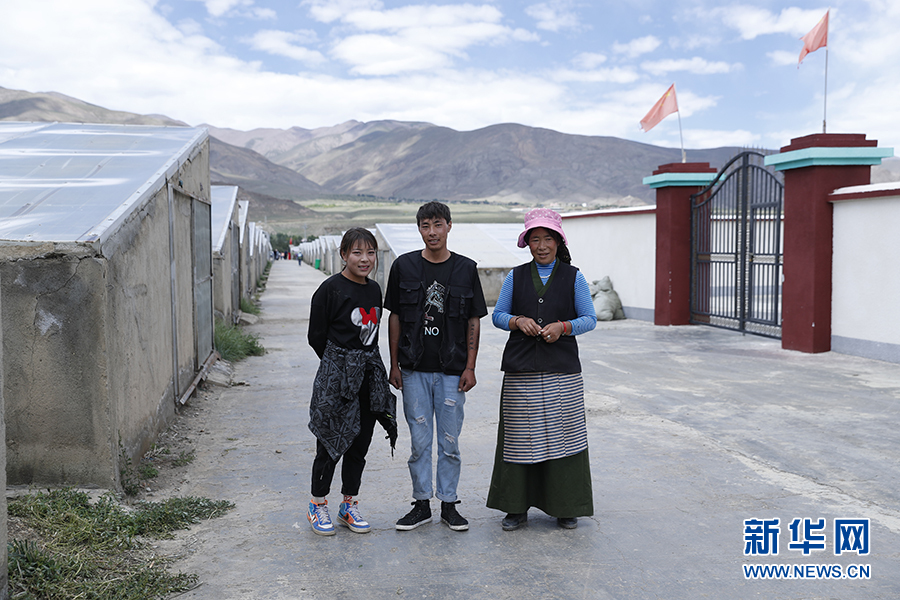 |幸福花开新边疆：隆子县的“格桑”花