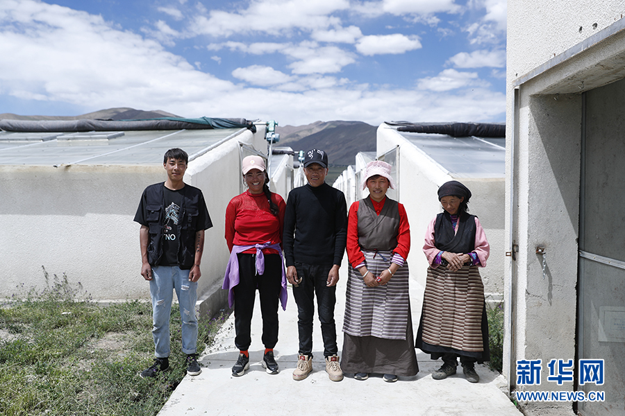 |幸福花开新边疆：隆子县的“格桑”花